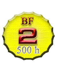 Expert BF2 Hardliner Badge